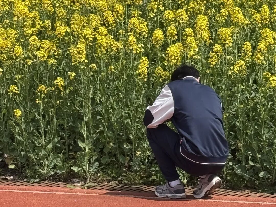 四调之后,做一个坚实、平和而温暖的陪伴者 四调之后,做一个坚实、平和而温暖的陪伴者