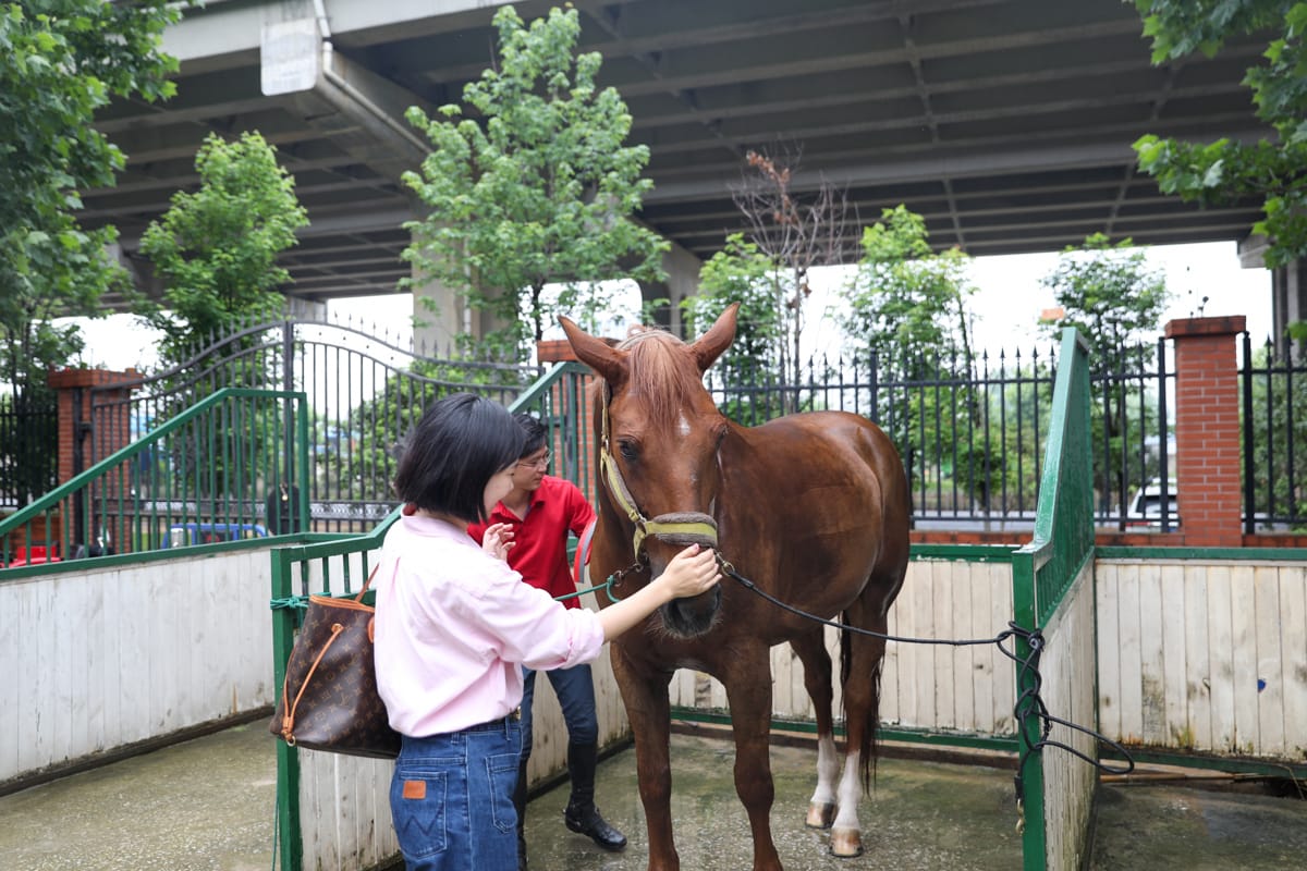 2024武汉首届幼儿教育创新发展论坛在我校圆满举行 马术体验.jpg
